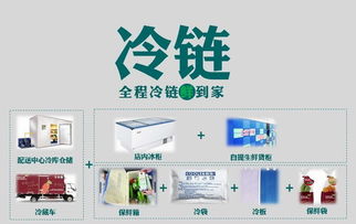 壹天一參史紅新 破解生鮮O2O困局，打造高端滋補品國內貿易代理新標桿