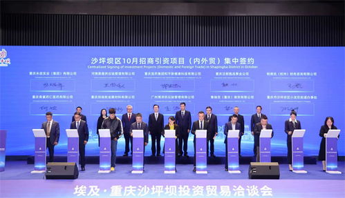 重慶沙坪壩投資貿(mào)易洽談會成功舉行，簽約6個對非經(jīng)貿(mào)合作項目助力信息咨詢服務升級