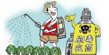 6月起哪些新規將影響你的生活？景泰人必看的法律要點解析